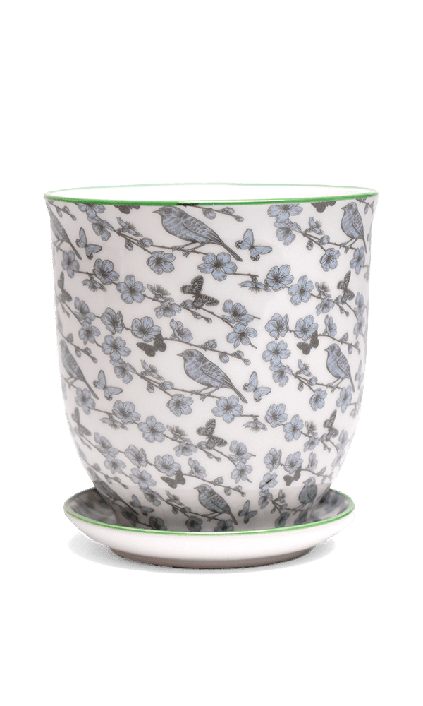 Liberte 5 Porcelain Pot And Saucer With Drainage - Chive Ceramics Studio - Pots - Chive Ceramics Studio