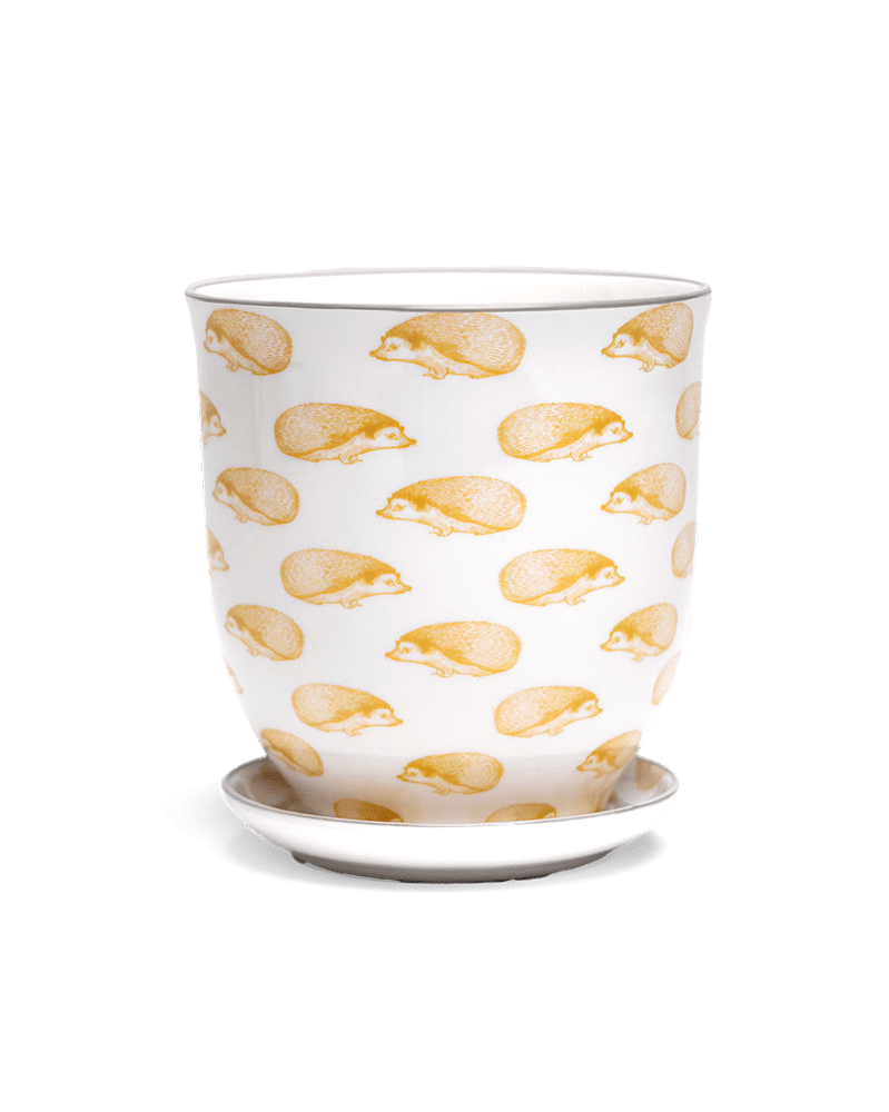 Liberte 5 Porcelain Pot And Saucer With Drainage - Chive Ceramics Studio - Pots - Chive Ceramics Studio