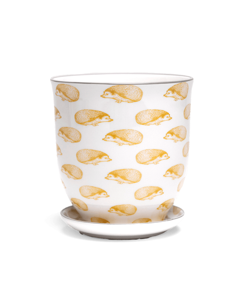 Liberte 5 Porcelain Pot And Saucer With Drainage - Chive Ceramics Studio - Pots - Chive Ceramics Studio