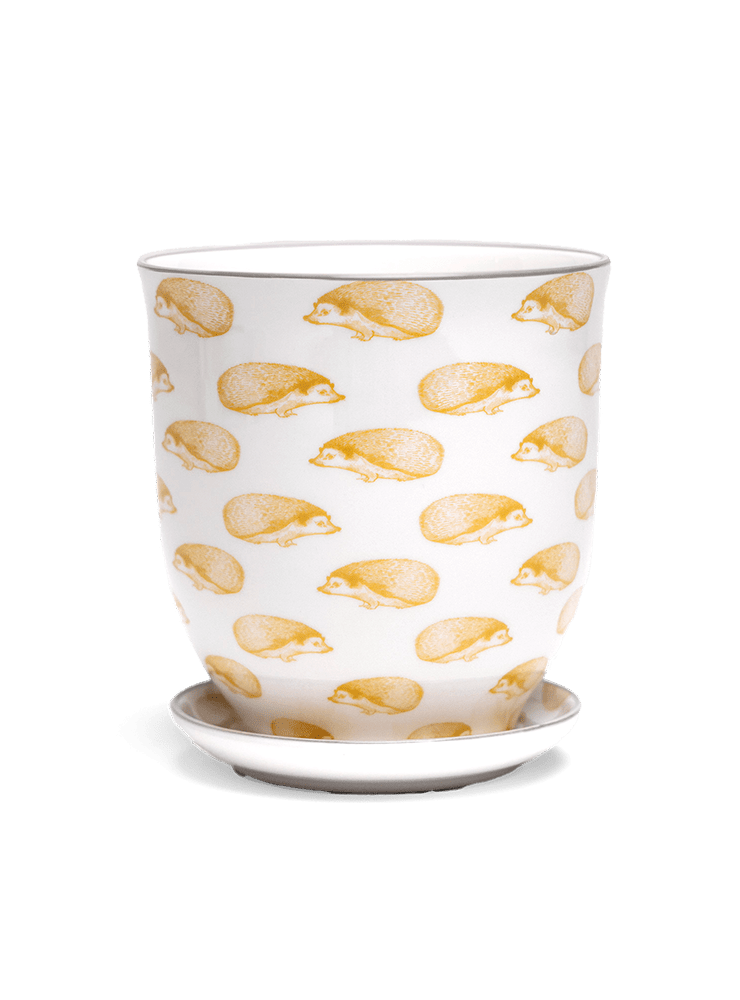 Liberte 5 Porcelain Pot And Saucer With Drainage - Chive Ceramics Studio - Pots - Chive Ceramics Studio