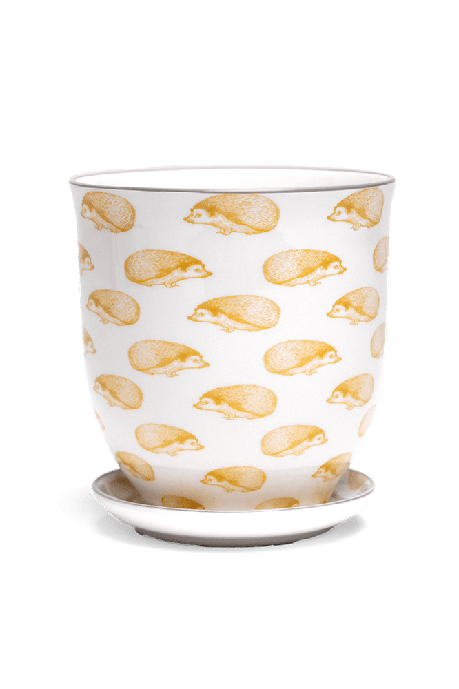 Liberte 5 Porcelain Pot And Saucer With Drainage - Chive Ceramics Studio - Pots - Chive Ceramics Studio