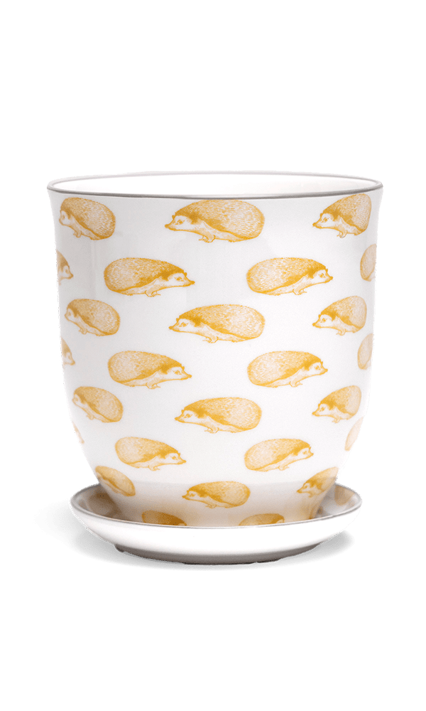 Liberte 5 Porcelain Pot And Saucer With Drainage - Chive Ceramics Studio - Pots - Chive Ceramics Studio