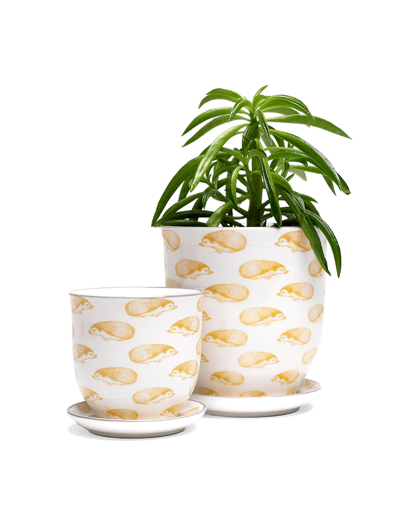 Liberte 5 Porcelain Pot And Saucer With Drainage - Chive Ceramics Studio - Pots - Chive Ceramics Studio