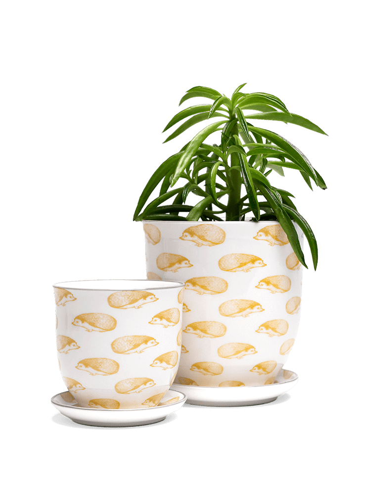 Liberte 5 Porcelain Pot And Saucer With Drainage - Chive Ceramics Studio - Pots - Chive Ceramics Studio