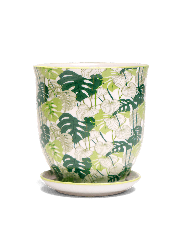 Liberte 5 Porcelain Pot And Saucer With Drainage - Chive Ceramics Studio - Pots - Chive Ceramics Studio