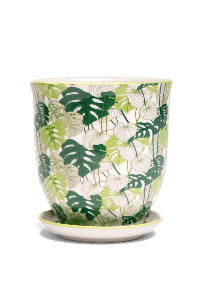 Liberte 5 Porcelain Pot And Saucer With Drainage - Chive Ceramics Studio - Pots - Chive Ceramics Studio