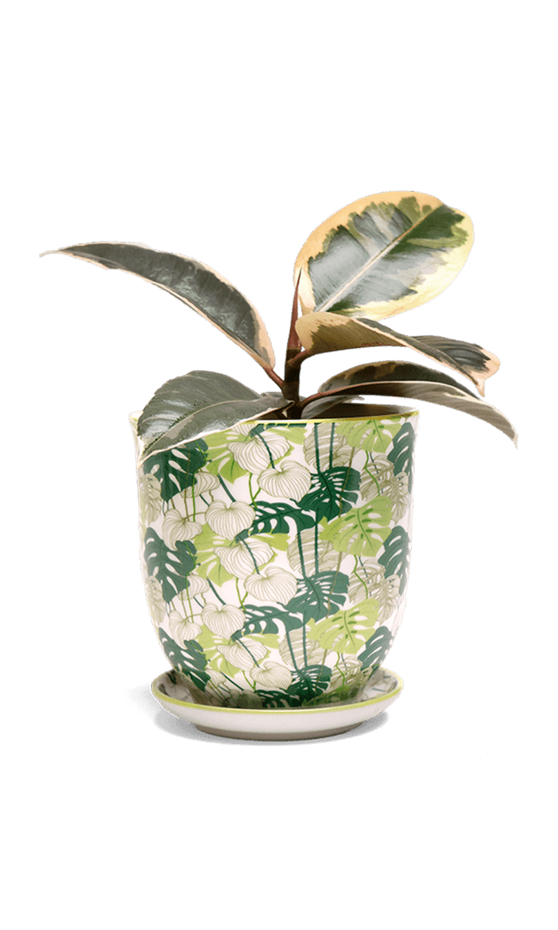 Liberte 5 Porcelain Pot And Saucer With Drainage - Chive Ceramics Studio - Pots - Chive Ceramics Studio