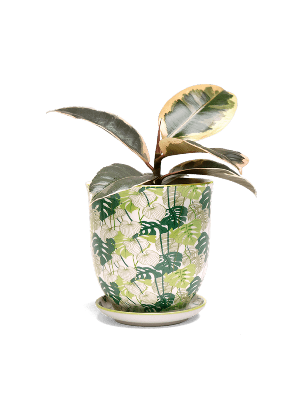 Liberte 5 Porcelain Pot And Saucer With Drainage - Chive Ceramics Studio - Pots - Chive Ceramics Studio