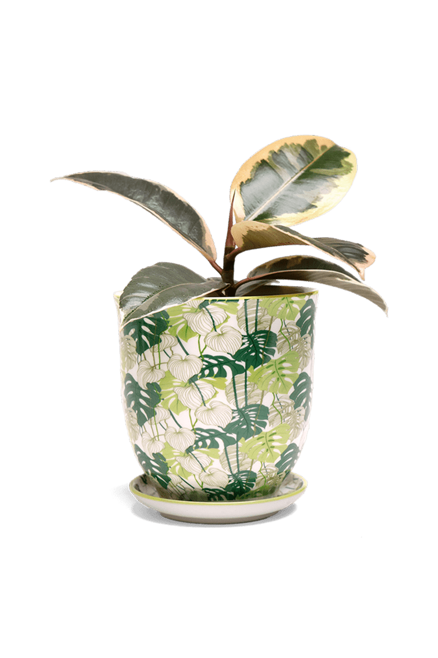 Liberte 5 Porcelain Pot And Saucer With Drainage - Chive Ceramics Studio - Pots - Chive Ceramics Studio