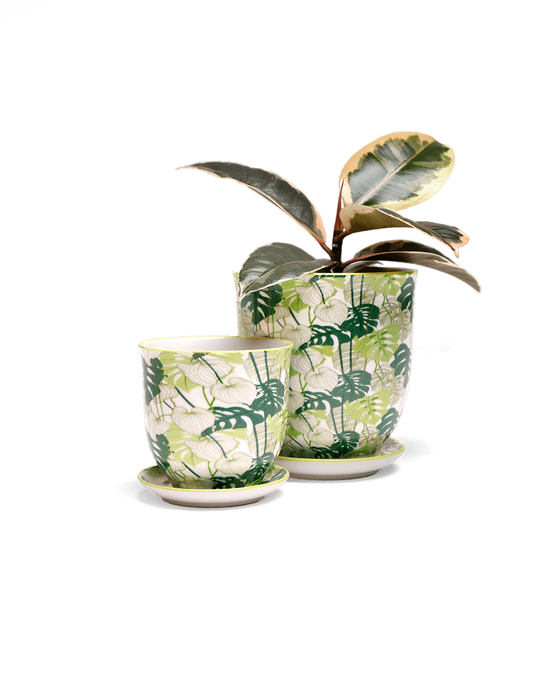 Liberte 5 Porcelain Pot And Saucer With Drainage - Chive Ceramics Studio - Pots - Chive Ceramics Studio