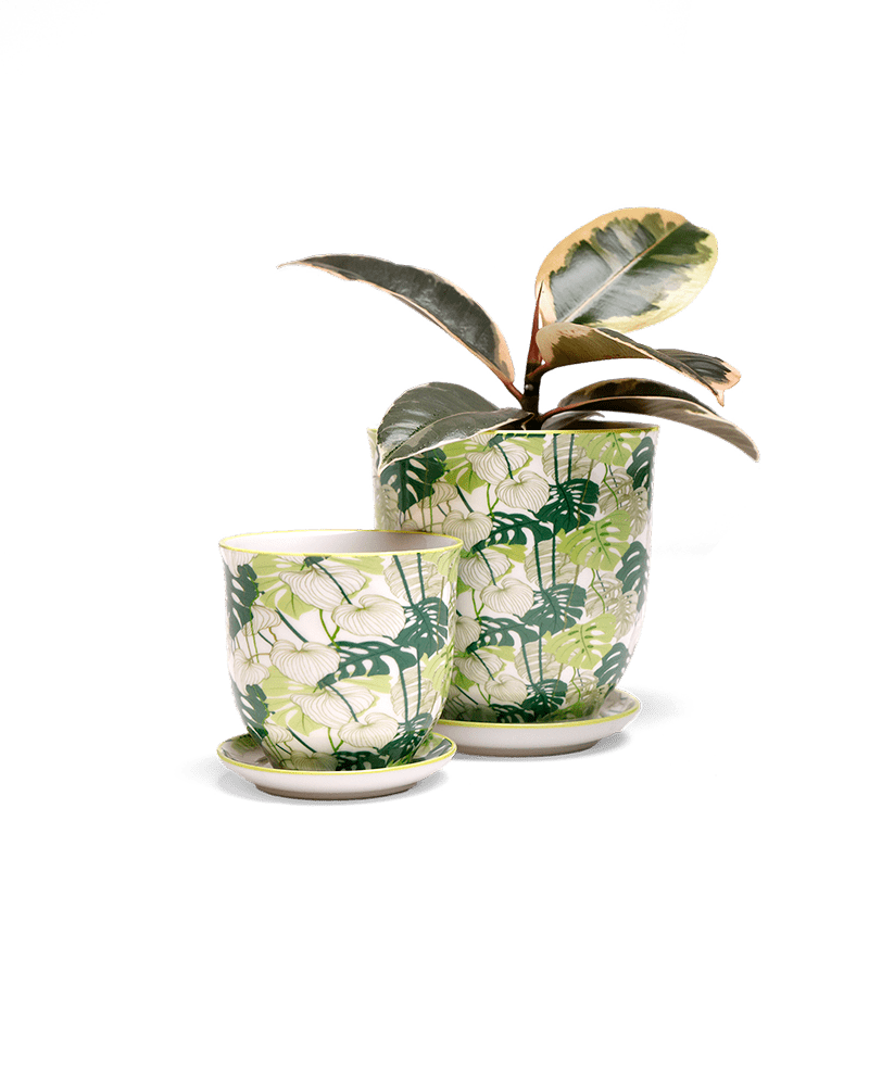 Liberte 5 Porcelain Pot And Saucer With Drainage - Chive Ceramics Studio - Pots - Chive Ceramics Studio