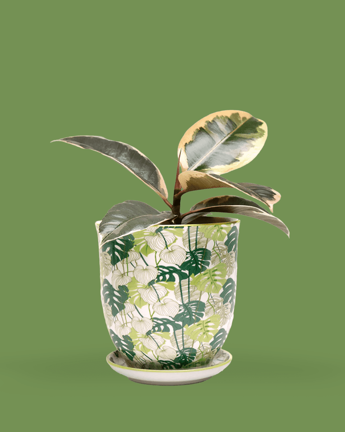 Liberte Porcelain 4.25" Pot And Saucer - Chive Ceramics Studio - Pots - Chive Ceramics Studio