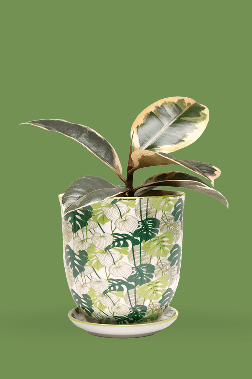 Liberte Porcelain 4.25" Pot And Saucer - Chive Ceramics Studio - Pots - Chive Ceramics Studio