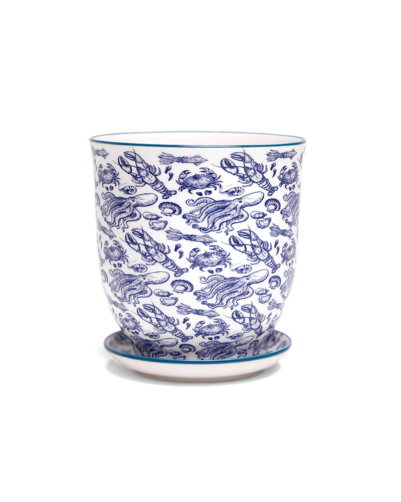 Liberte 5 Porcelain Pot And Saucer With Drainage - Chive Ceramics Studio - Pots - Chive Ceramics Studio