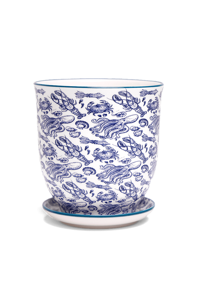 Liberte 5 Porcelain Pot And Saucer With Drainage - Chive Ceramics Studio - Pots - Chive Ceramics Studio