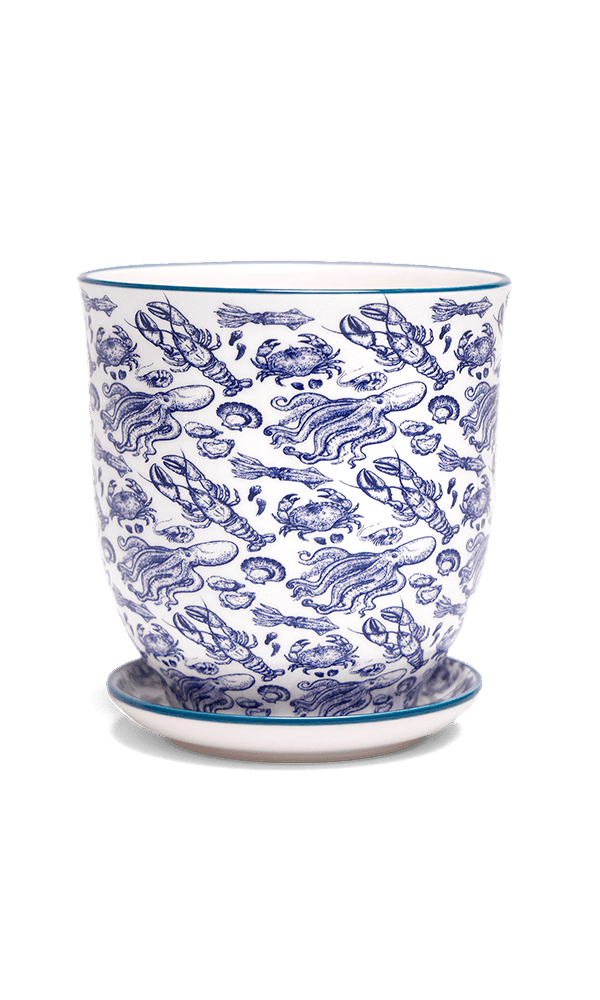 Liberte 5 Porcelain Pot And Saucer With Drainage - Chive Ceramics Studio - Pots - Chive Ceramics Studio