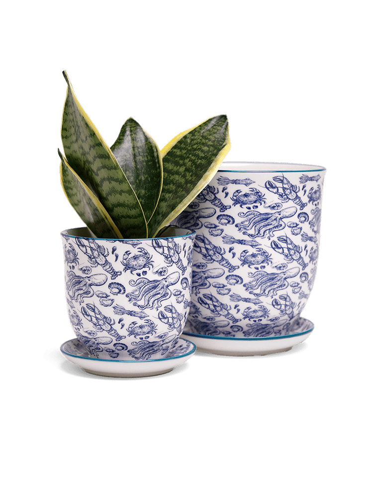 Liberte 5 Porcelain Pot And Saucer With Drainage - Chive Ceramics Studio - Pots - Chive Ceramics Studio