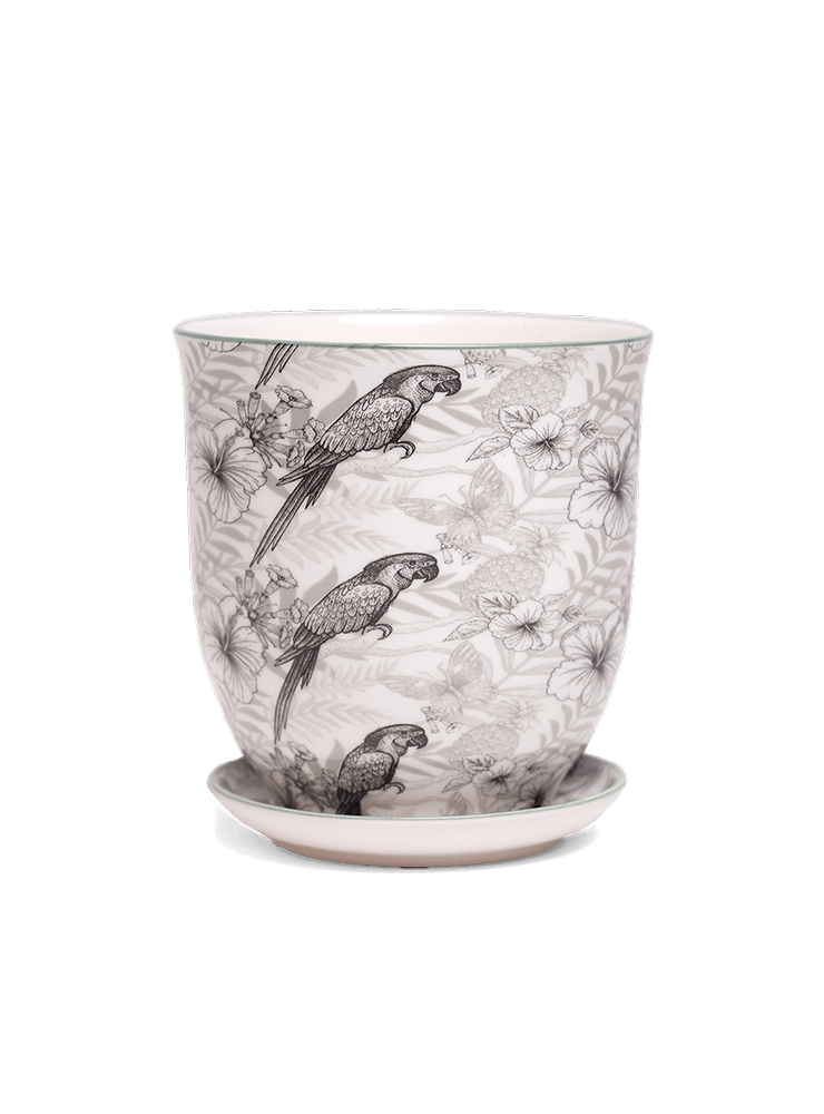 Liberte 5 Porcelain Pot And Saucer With Drainage - Chive Ceramics Studio - Pots - Chive Ceramics Studio