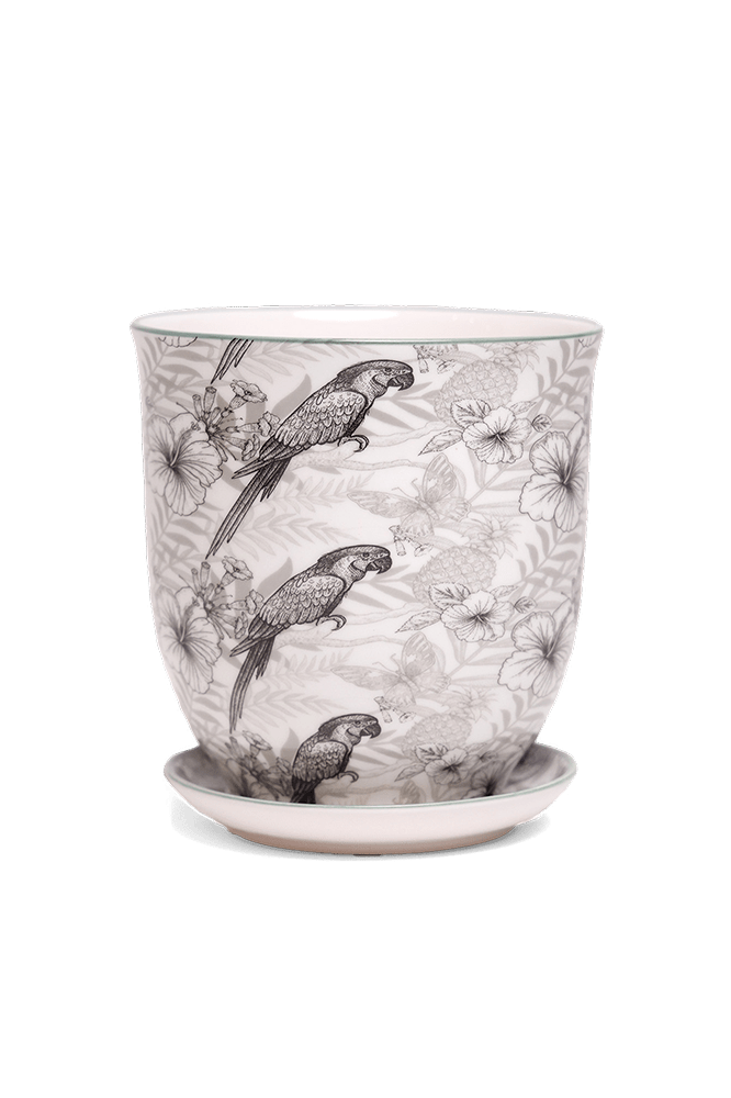 Liberte 5 Porcelain Pot And Saucer With Drainage - Chive Ceramics Studio - Pots - Chive Ceramics Studio
