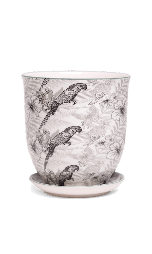 Liberte 5 Porcelain Pot And Saucer With Drainage - Chive Ceramics Studio - Pots - Chive Ceramics Studio