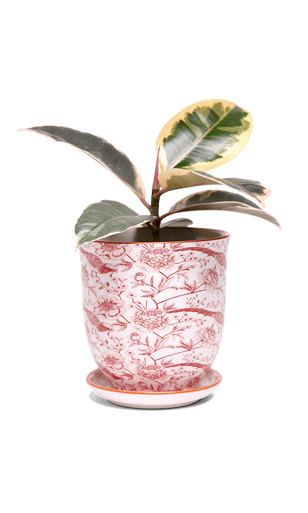 Liberte 5 Porcelain Pot And Saucer With Drainage - Chive Ceramics Studio - Pots - Chive Ceramics Studio