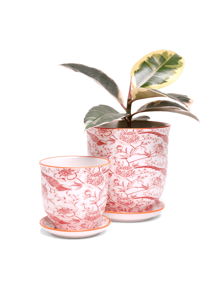 Liberte 5 Porcelain Pot And Saucer With Drainage - Chive Ceramics Studio - Pots - Chive Ceramics Studio