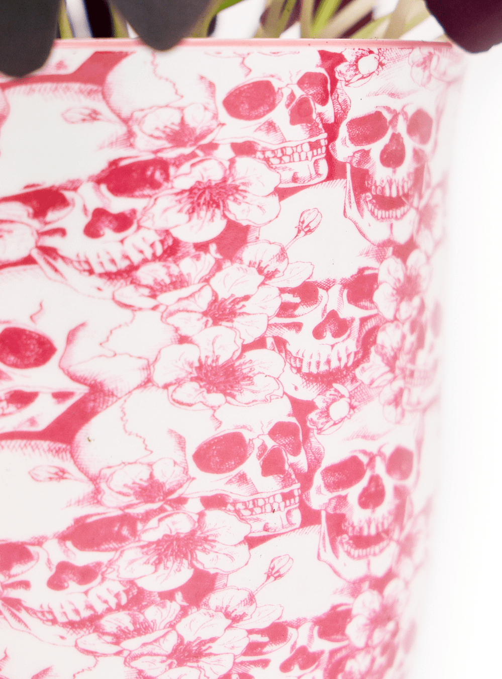 Liberte 5 Porcelain Pot And Saucer With Drainage - Chive Ceramics Studio - Pots - Chive Ceramics Studio