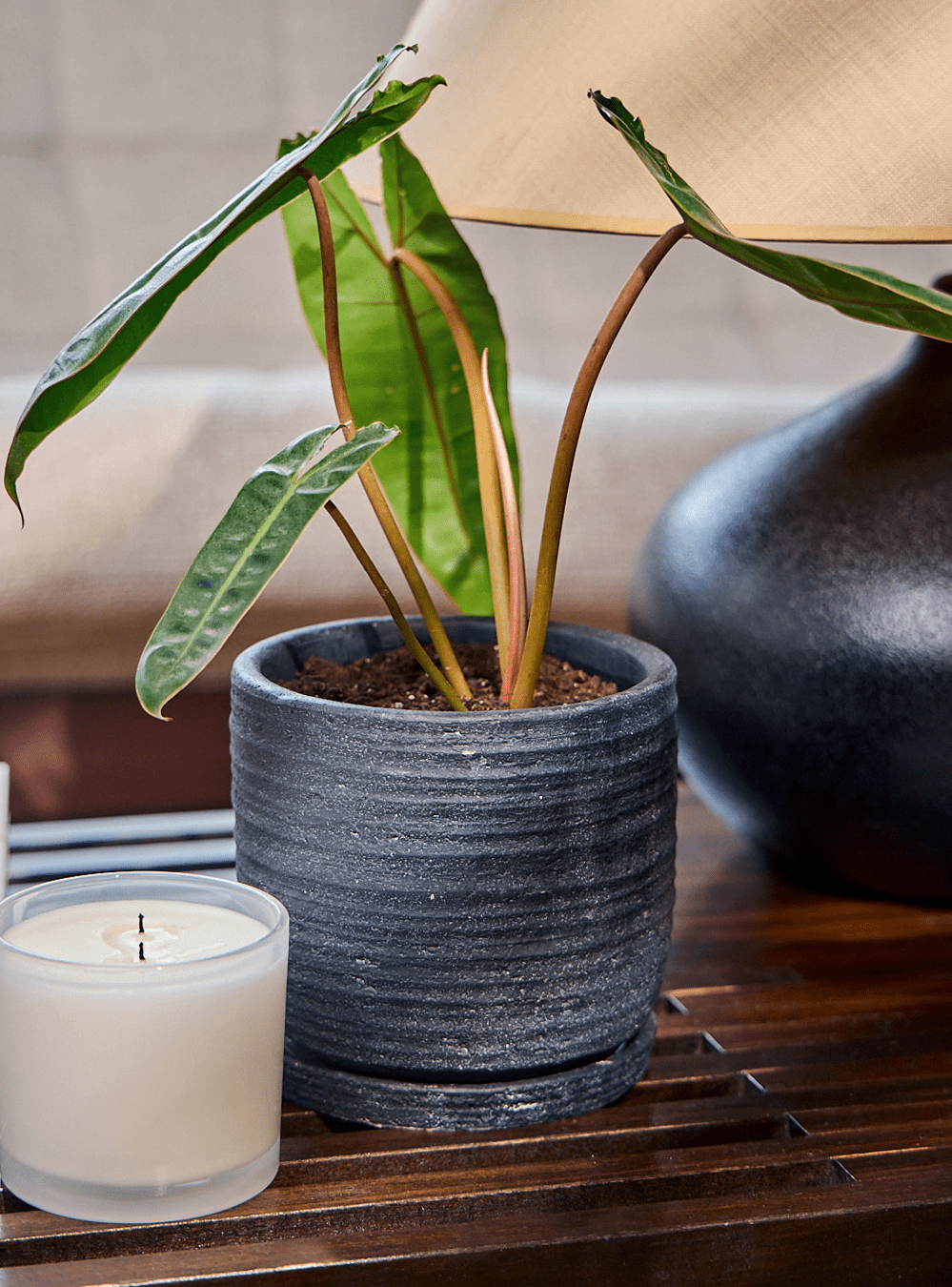 Paul Ceramic Pot And Saucer Set With Drainage - Chive Ceramics Studio - Pots - Chive US