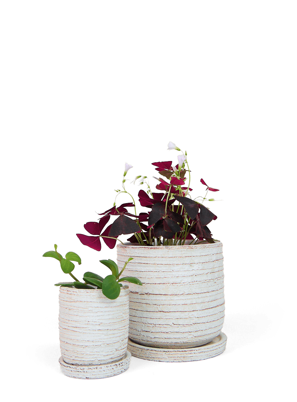 Paul Ceramic Pot And Saucer Set With Drainage - Chive Ceramics Studio - Pots - Chive US