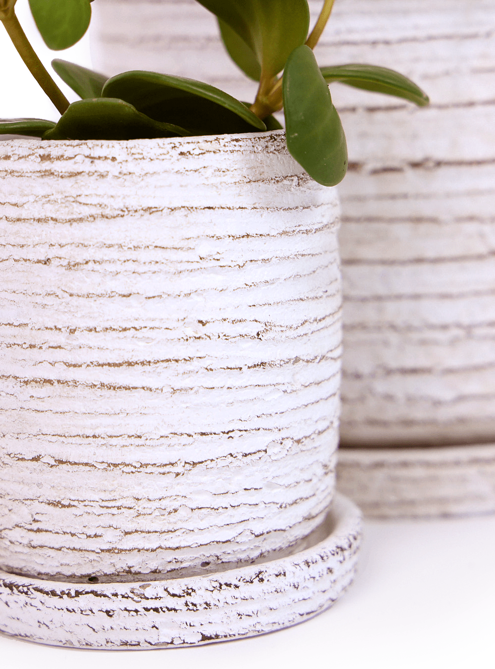 Paul Ceramic Pot And Saucer Set With Drainage - Chive Ceramics Studio - Pots - Chive US