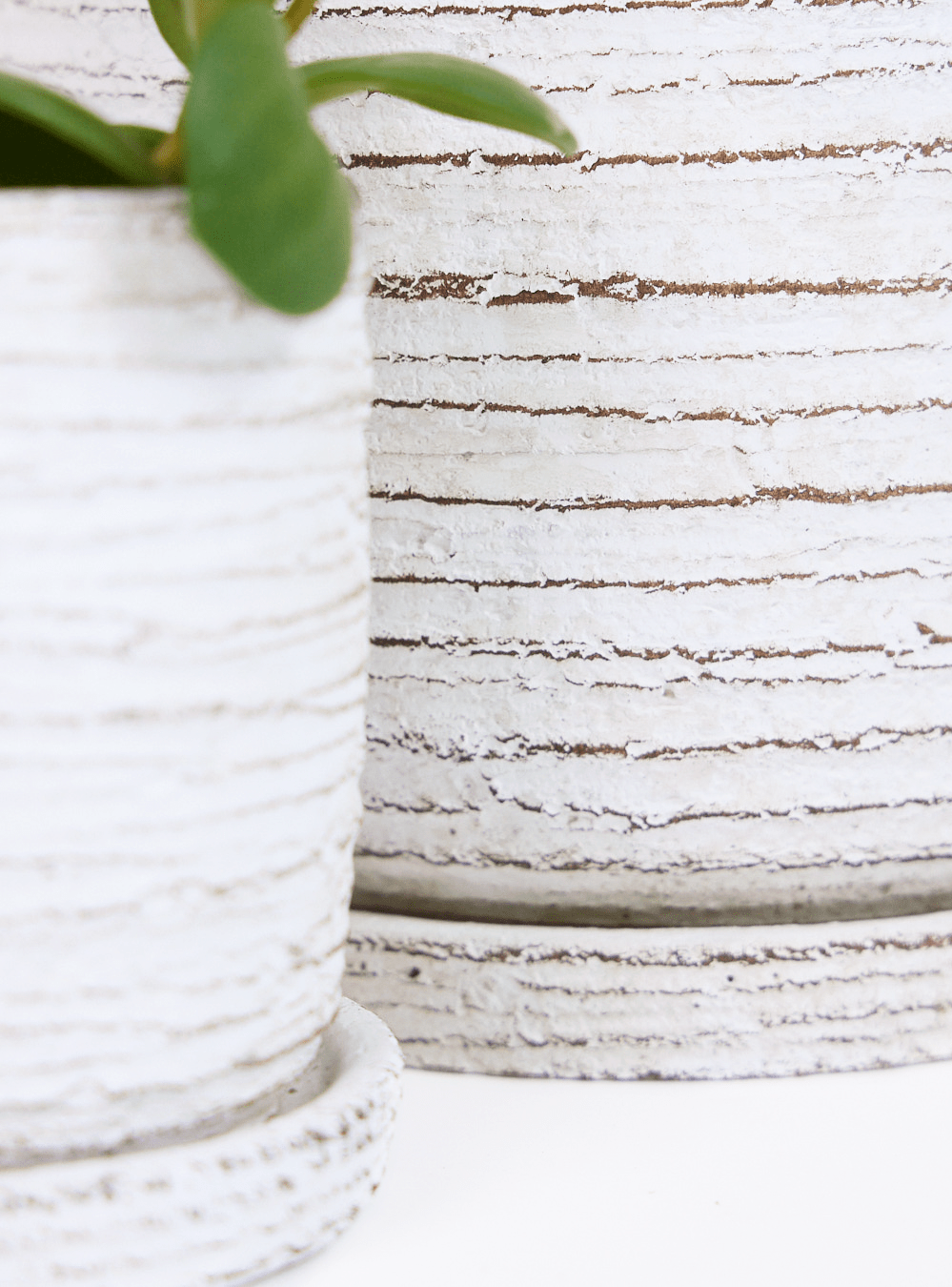 Paul Ceramic Pot And Saucer Set With Drainage - Chive Ceramics Studio - Pots - Chive US