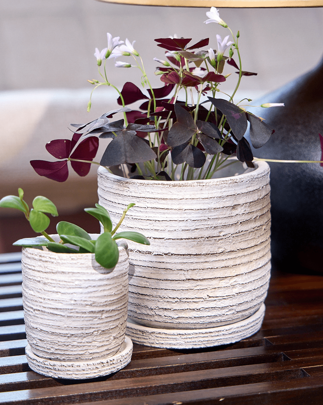 Paul Ceramic Pot And Saucer Set With Drainage - Chive Ceramics Studio - Pots - Chive US