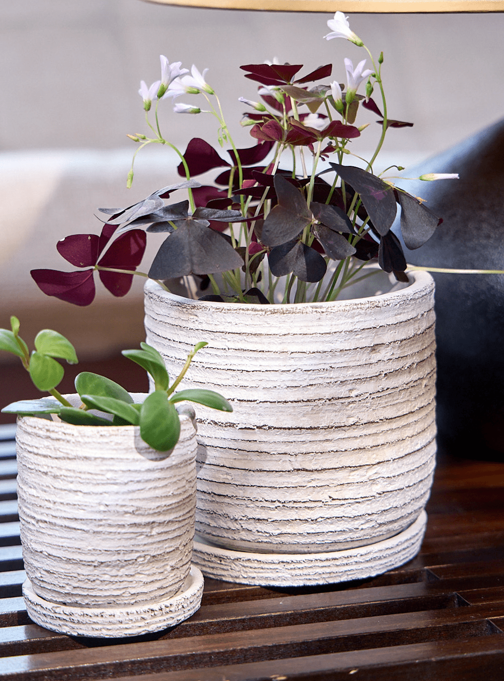 Paul Ceramic Pot And Saucer Set With Drainage - Chive Ceramics Studio - Pots - Chive US