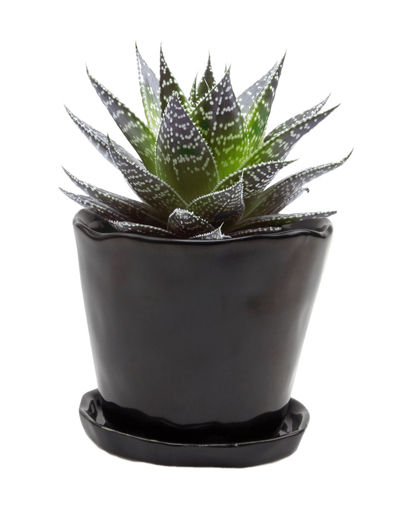 Tika Ceramic Pot & Saucer Set With Drainage - Chive Ceramics Studio - Pots - Chive Ceramics Studio