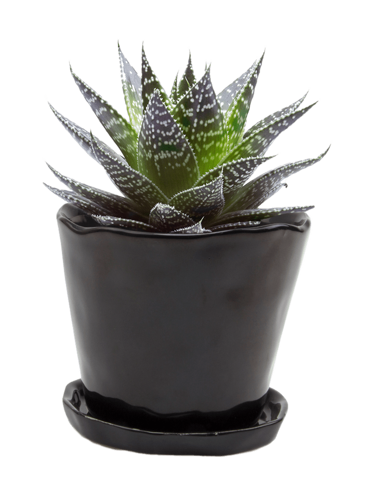 Tika Ceramic Pot & Saucer Set With Drainage - Chive Ceramics Studio - Pots - Chive Ceramics Studio