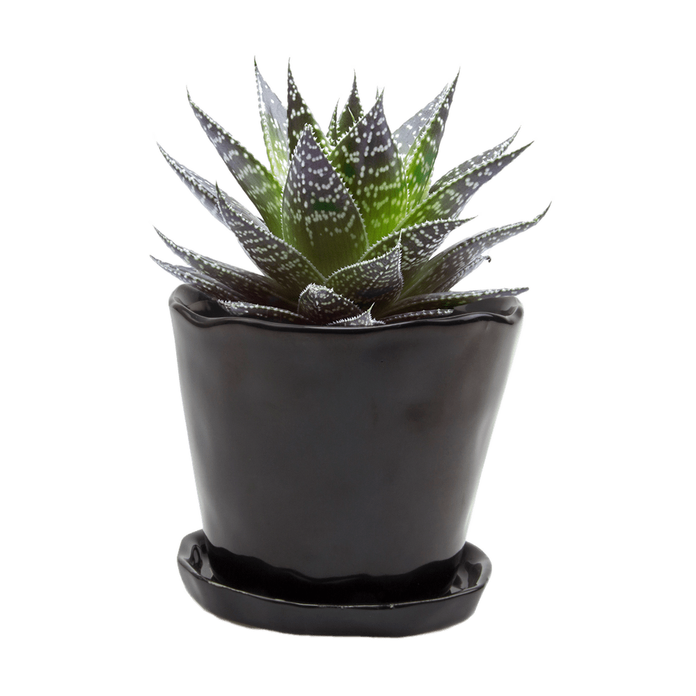 Tika Ceramic Pot & Saucer Set With Drainage - Chive Ceramics Studio - Pots - Chive Ceramics Studio