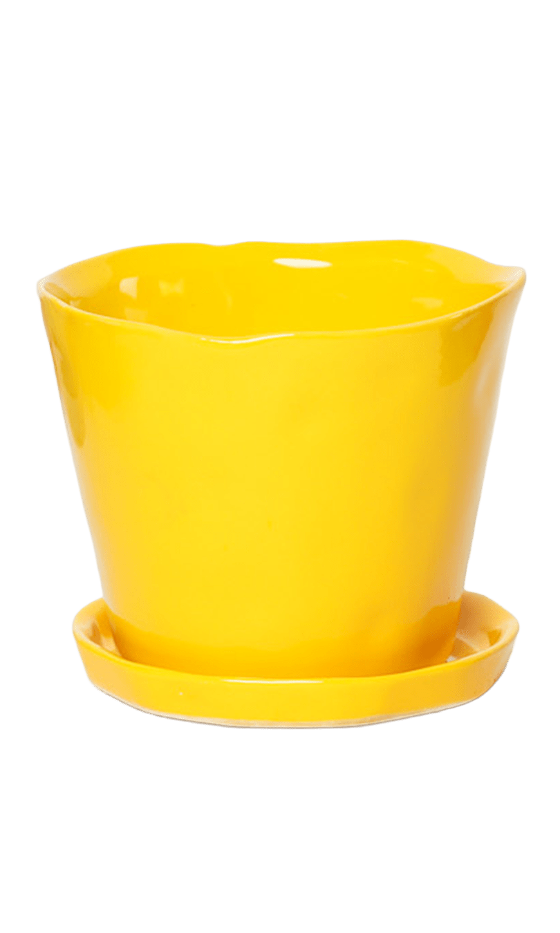 Tika Pot & Saucer | 5 inch - Chive Ceramics Studio - Pots - Chive Ceramics Studio