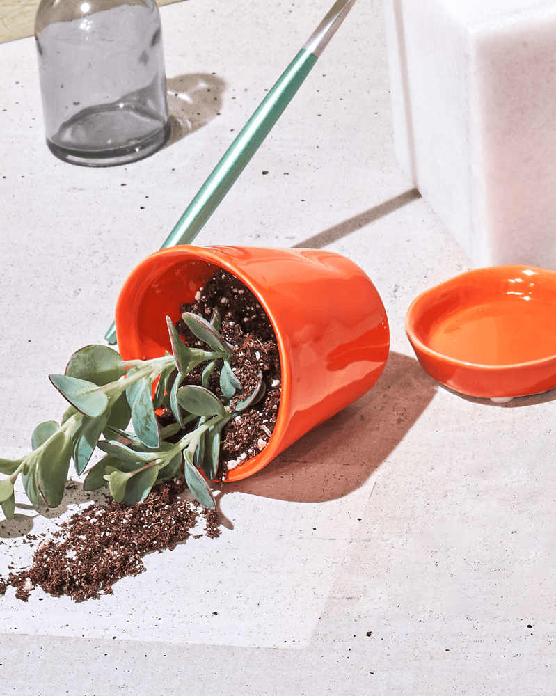 Tika Ceramic Pot & Saucer Set With Drainage - Chive Ceramics Studio - Pots - Chive Ceramics Studio