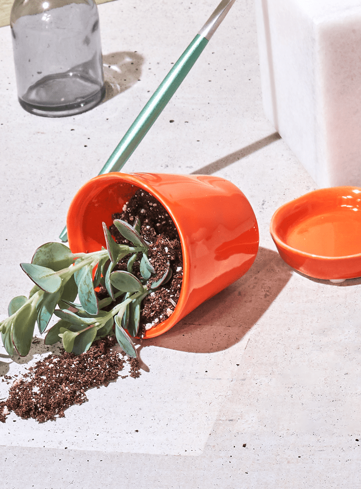 Tika Ceramic Pot & Saucer Set With Drainage - Chive Ceramics Studio - Pots - Chive Ceramics Studio