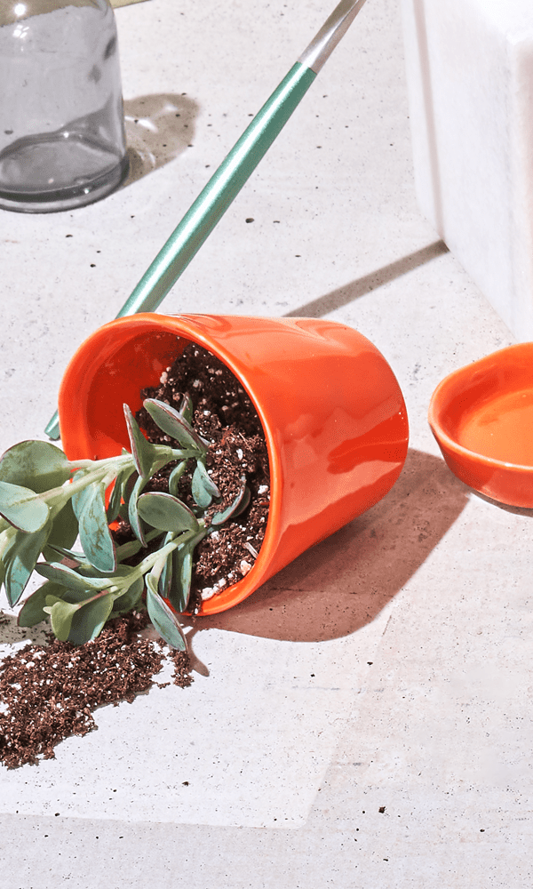 Tika Ceramic Pot & Saucer Set With Drainage - Chive Ceramics Studio - Pots - Chive Ceramics Studio