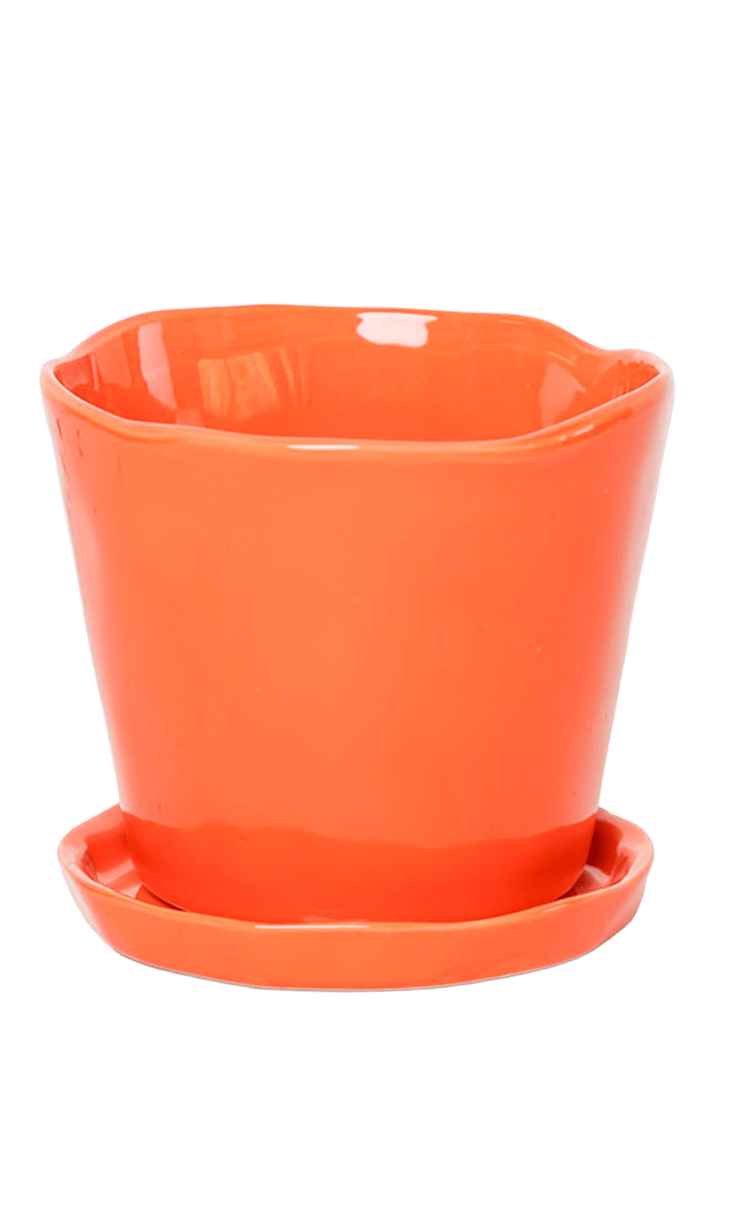 Tika Pot & Saucer | 5 inch - Chive Ceramics Studio - Pots - Chive Ceramics Studio