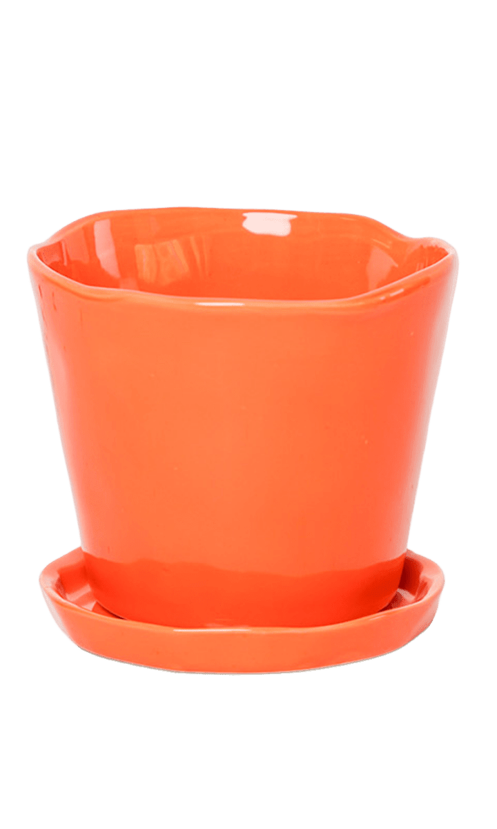 Tika Pot & Saucer | 8 & 10 inch - Chive Ceramics Studio - Pots - Chive Ceramics Studio