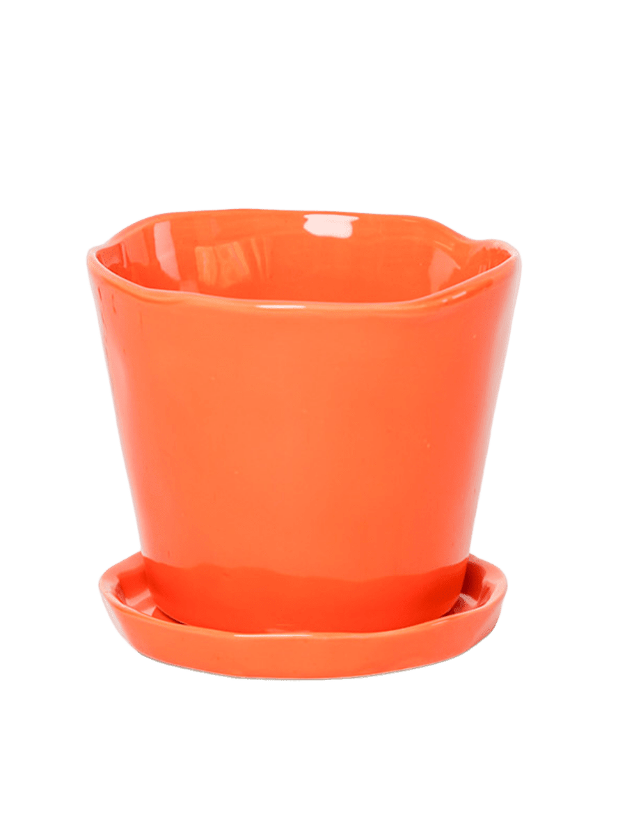 Tika Pot & Saucer | 8 & 10 inch - Chive Ceramics Studio - Pots - Chive Ceramics Studio