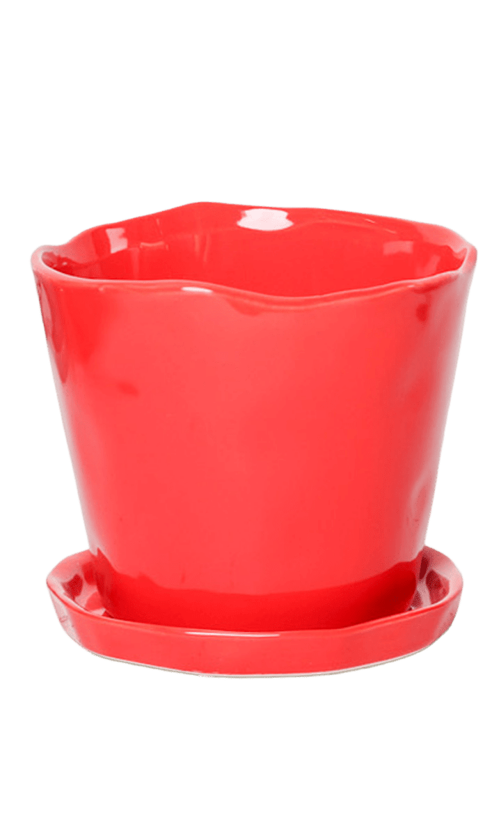 Tika Pot & Saucer | 8 & 10 inch - Chive Ceramics Studio - Pots - Chive Ceramics Studio