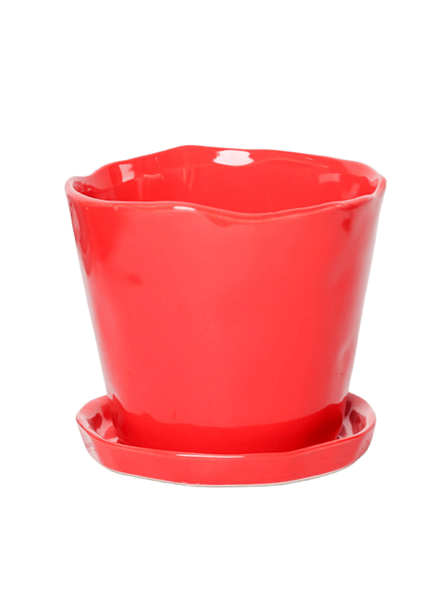 Tika Pot & Saucer | 8 & 10 inch - Chive Ceramics Studio - Pots - Chive Ceramics Studio