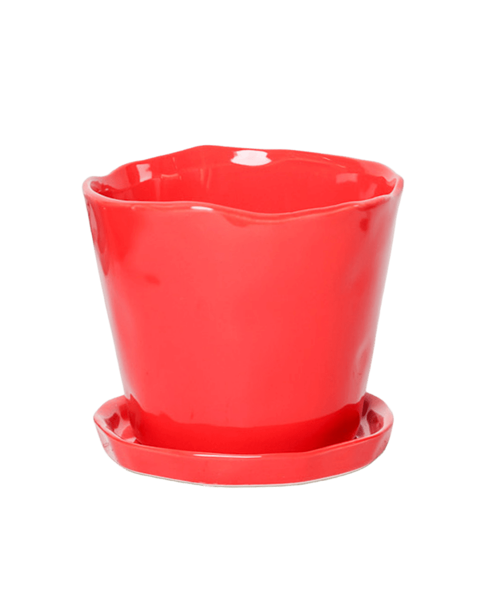 Tika Pot & Saucer | 8 & 10 inch - Chive Ceramics Studio - Pots - Chive Ceramics Studio