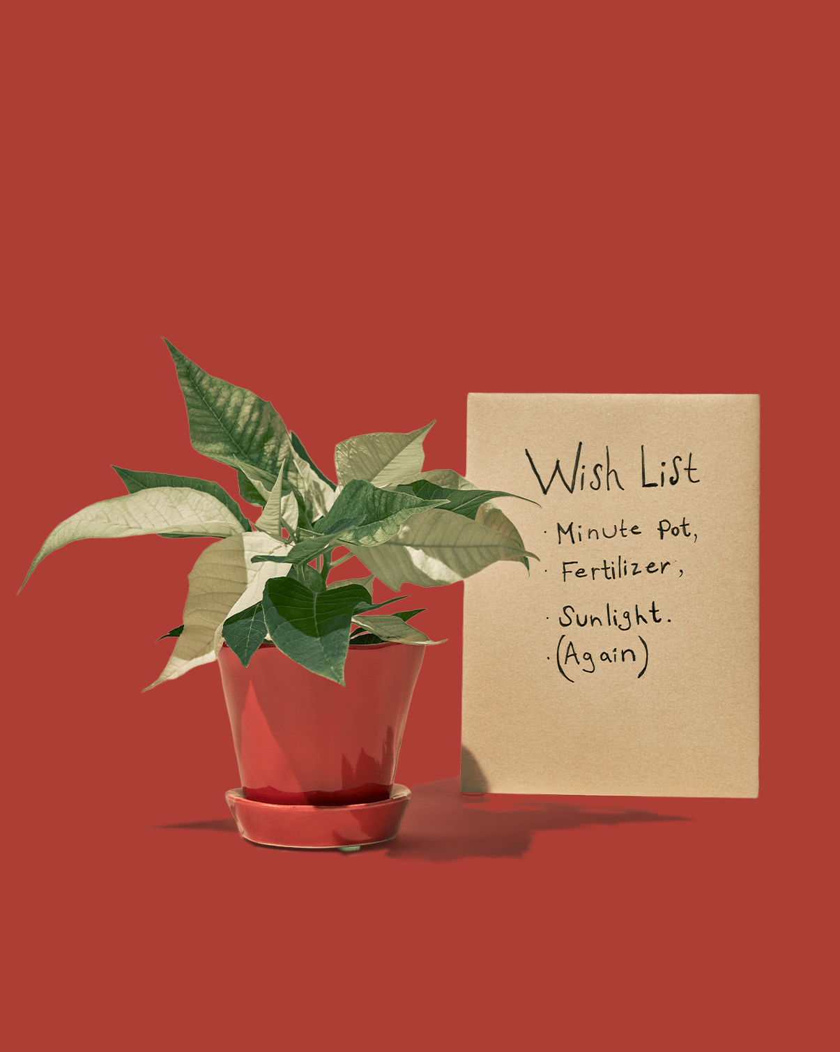 Tika Ceramic 5" Pot & Saucer Set With Drainage - Chive Ceramics Studio - Pots - Chive Ceramics Studio