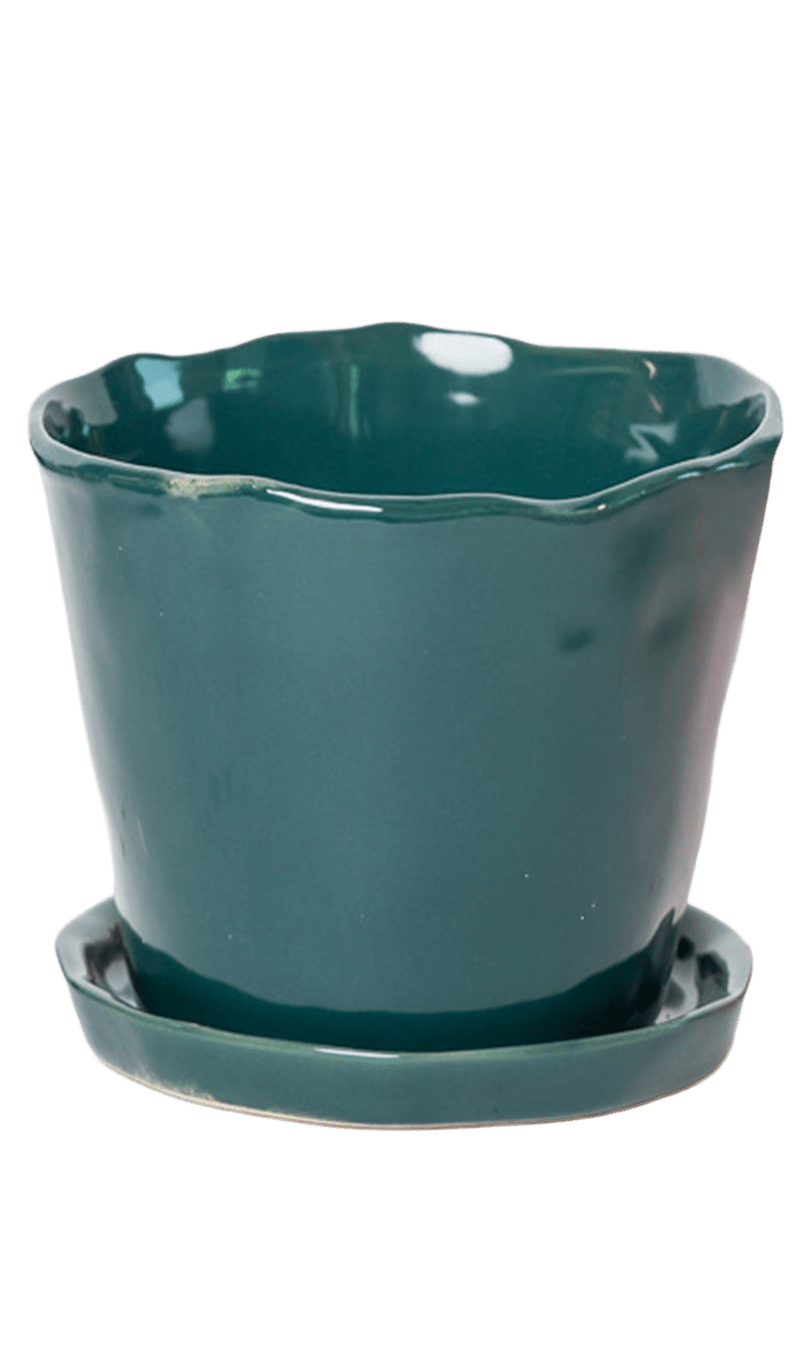 Tika Pot & Saucer | 5 inch - Chive Ceramics Studio - Pots - Chive Ceramics Studio