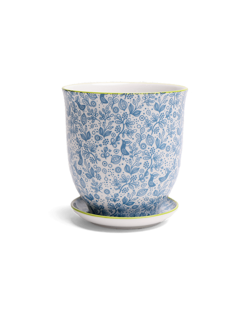 Liberte Porcelain 4.25" Pot And Saucer - Chive Ceramics Studio - Pots - Chive Ceramics Studio