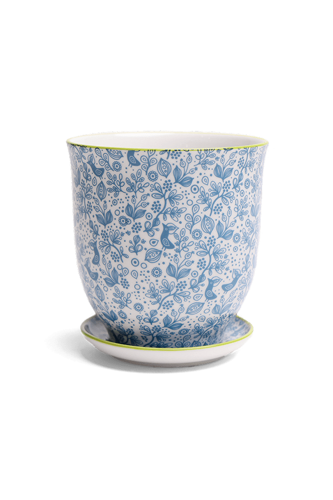 Liberte Porcelain 4.25" Pot And Saucer - Chive Ceramics Studio - Pots - Chive Ceramics Studio
